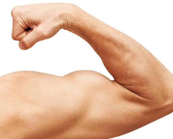 Tratamientos para aumentar masa muscular